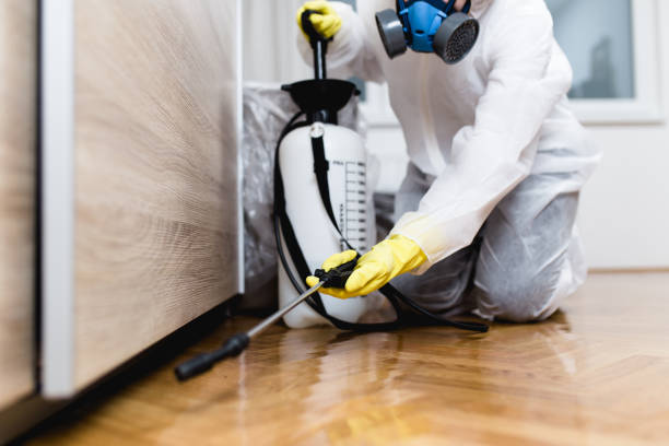 Best Flea Control Services  in Broken Bow, NE