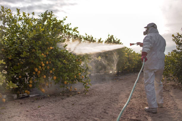 Best Pest Control for Businesses  in Broken Bow, NE