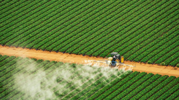 Best Best Pest Control Companies  in Broken Bow, NE