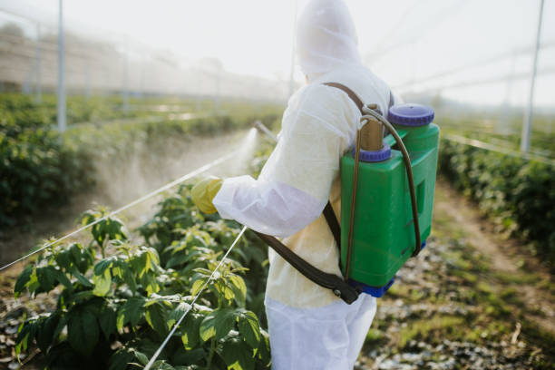 Best Flea Control Services  in Broken Bow, NE